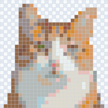Cat converted to a 29 by 29 grid; the eyes and nose occupy only a few cells.